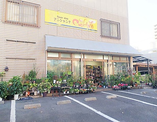 フラワーショップ アンシャンテ」刈谷市広小路のお花屋さん｜【イー