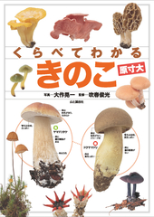 くらべてわかる きのこ (原寸大) | 大作 晃一 | 絵本ナビ：レビュー・通販