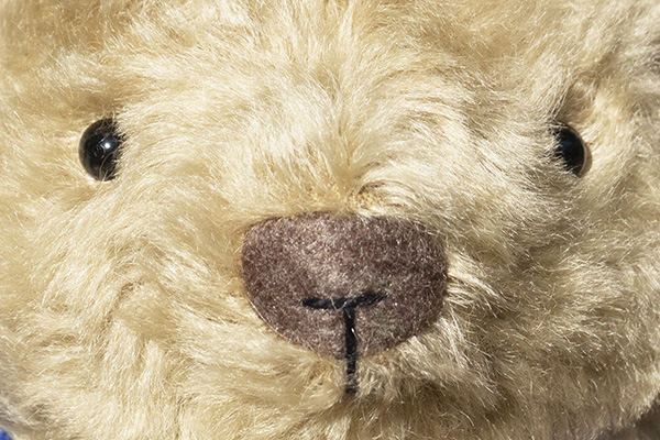 送料無料）くまの子ウーフ×シュタイフ ぬいぐるみ | 絵本ナビ | グッズ