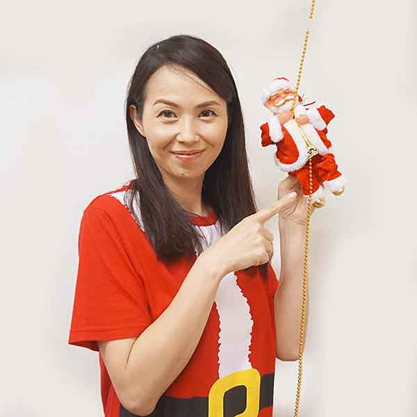 クリスマス装飾 ムービングクライミングサンタ H22.5cm～クリスマス