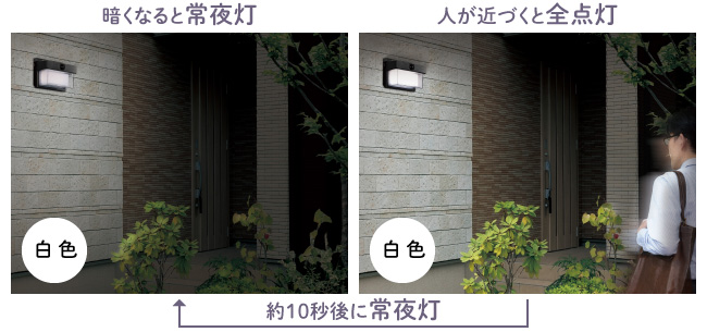 二重構造(小型)ボディ | 商品情報 | ELPA 朝日電器株式会社