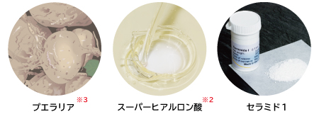 ネオベジータ シリーズ｜エルセラーン化粧品株式会社