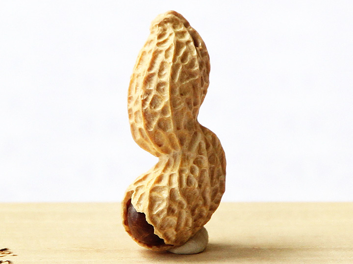 黄楊根付 落花生（2粒実入り）A【岡壱名入り】【2019年9月9日】｜京都