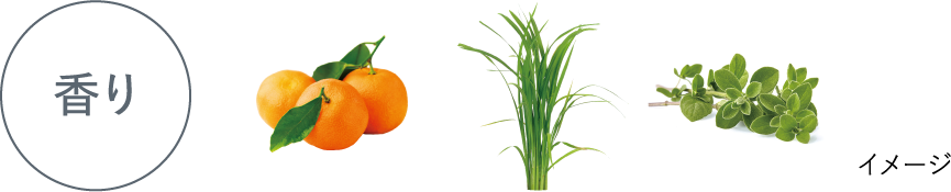 プレサート アスリープ クリスタルエディション | ESTESSiMO（エステシモ）