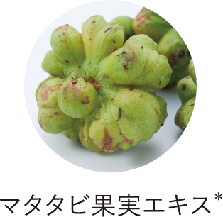 プレサート アスリープ クリスタルエディション | ESTESSiMO（エステシモ）