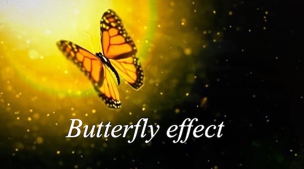 バタフライエフェクト｜たった一匹の蝶の羽ばたきが竜巻を起こす 行動