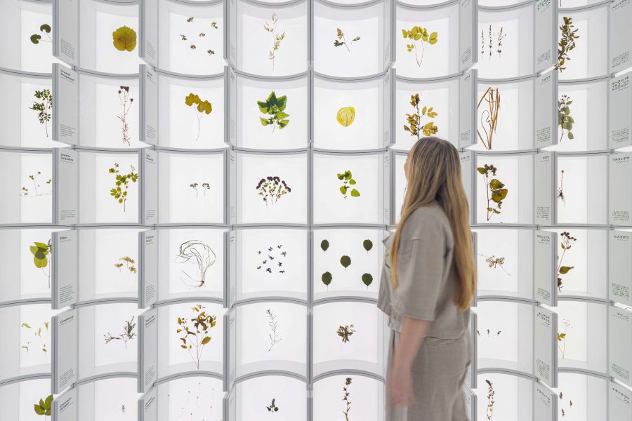 世界のパビリオンめぐり｜バルト館：静けさと森に、心をひらく | EXPO