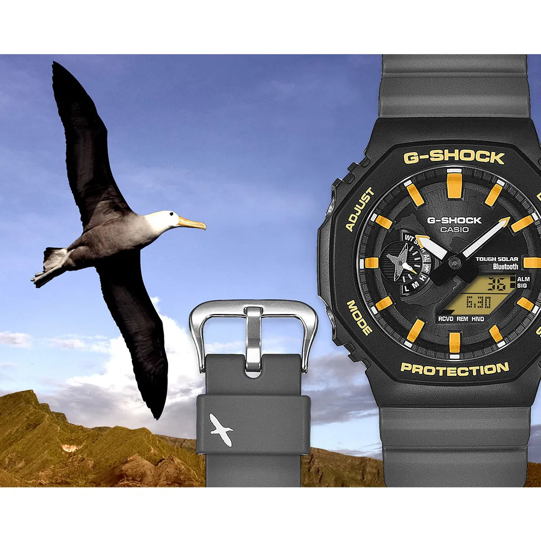 GA-B2100DF-1AJR チャールズ・ダーウィン財団 コラボレーションモデル