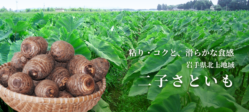 岩手県「二子さといも」 | フードアルチザンのおすすめ | フードアルチザン