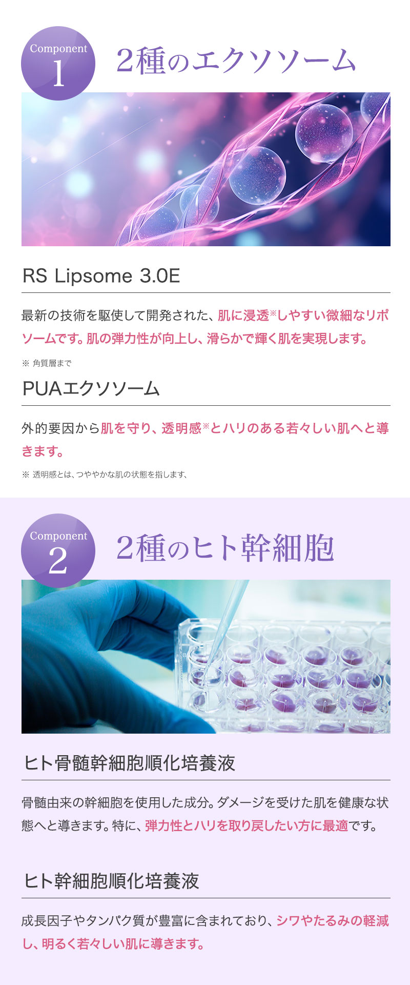 正規品販売店】セインムー クラッキング W エクソソーム 180g seins