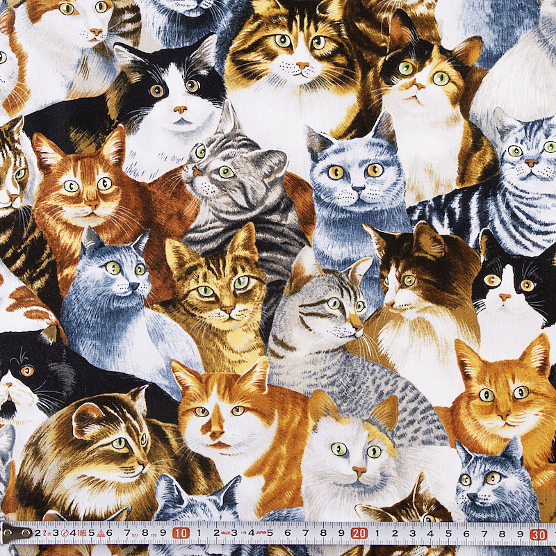 Fairy Cotton / リアルなイラスト風ネコ