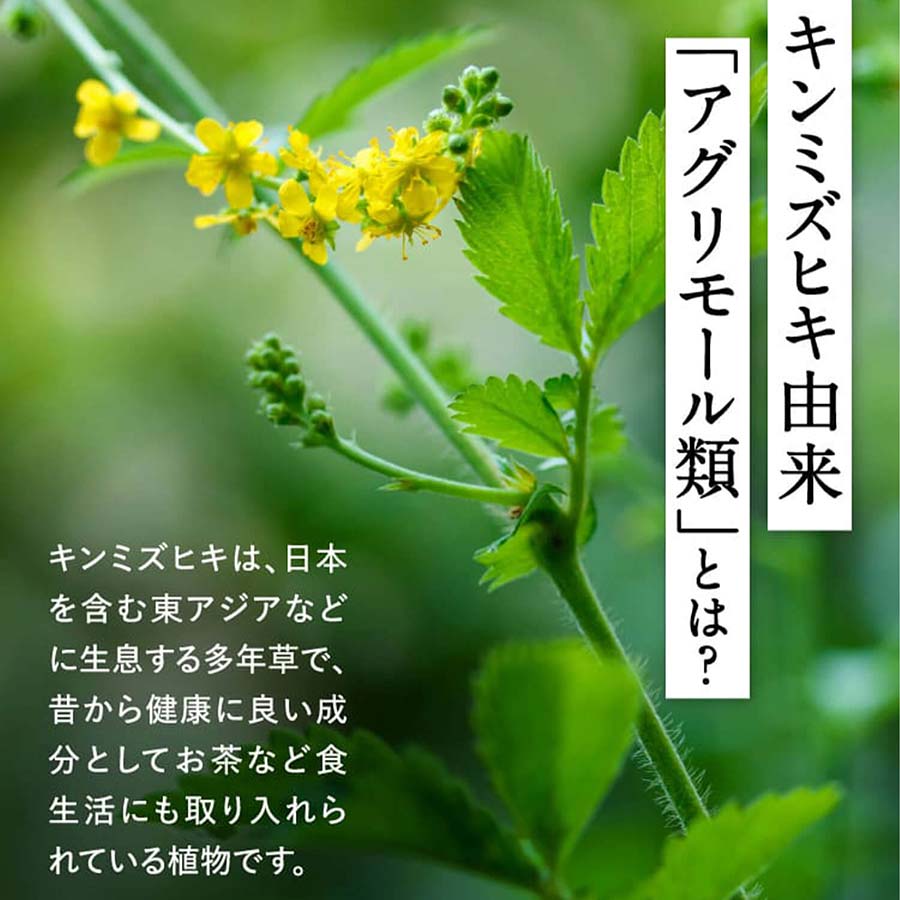 健康食品・サプリメント】ウェルエイジ プレミアム│ファンケルオンライン