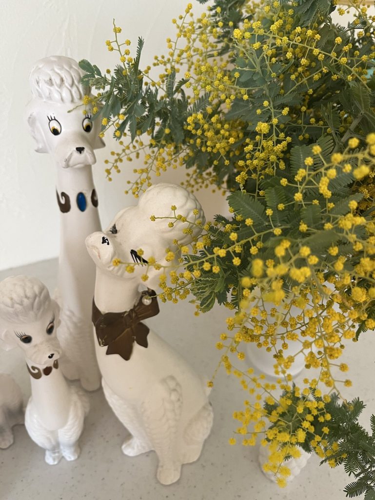 ミモザ | 堀井かずえ | 花の絵ファンタジック水彩画