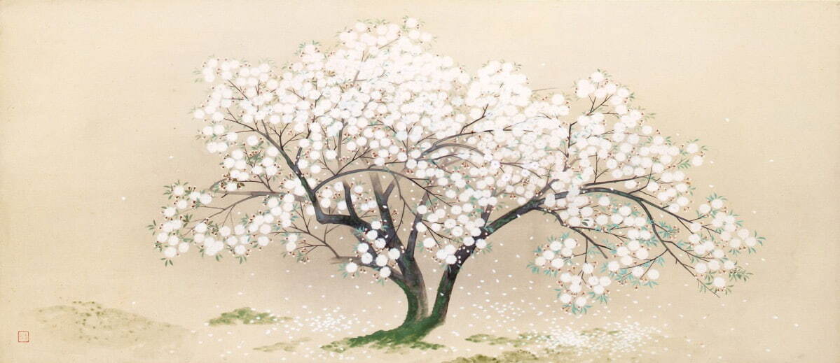 横山大観や川合玉堂ら“桜の日本画”一挙公開、特別展「桜 さくら SAKURA