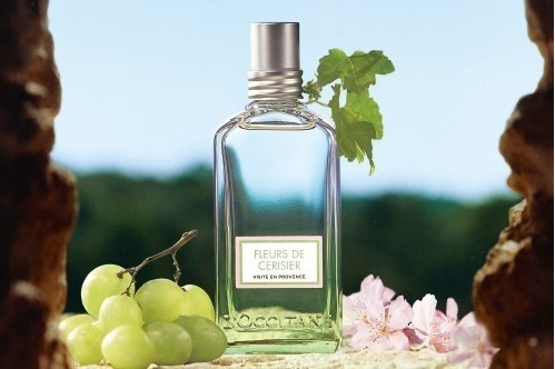 ロクシタン25年春ボディケア「ホワイトマスカットチェリーブロッサム