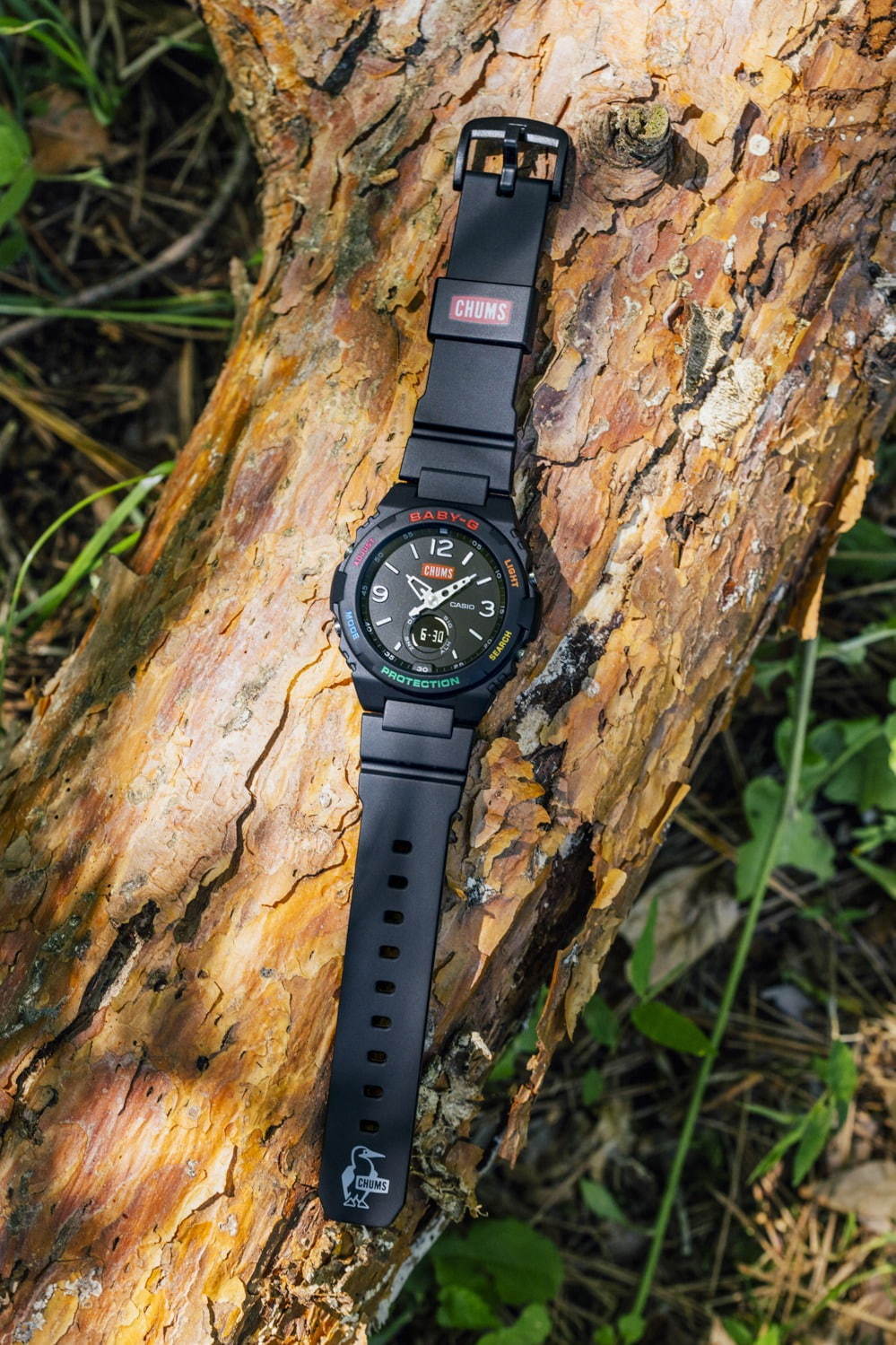 BABY-G×チャムスの腕時計、レインボーカラーをフェイスに - “寝袋型