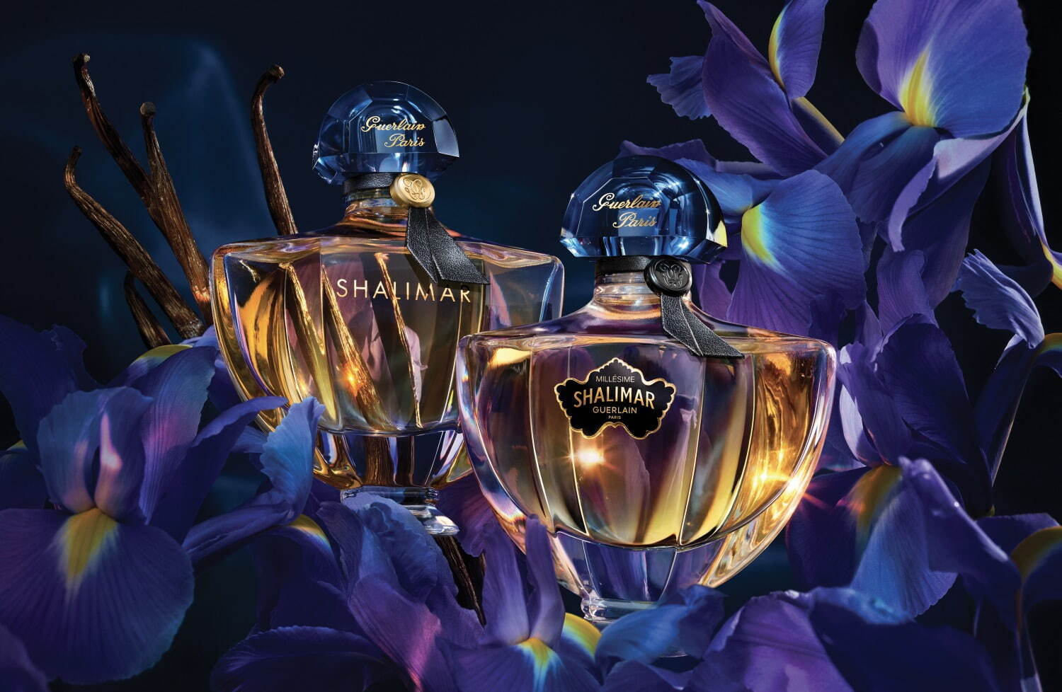 ゲラン伝説のフレグランス「シャリマー」に新作、アイリス主役の
