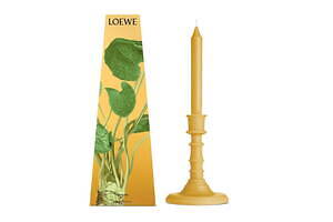 ロエベ パルファムに「ワサビ」の新たな香り、“爽やか＆スパイシー”な