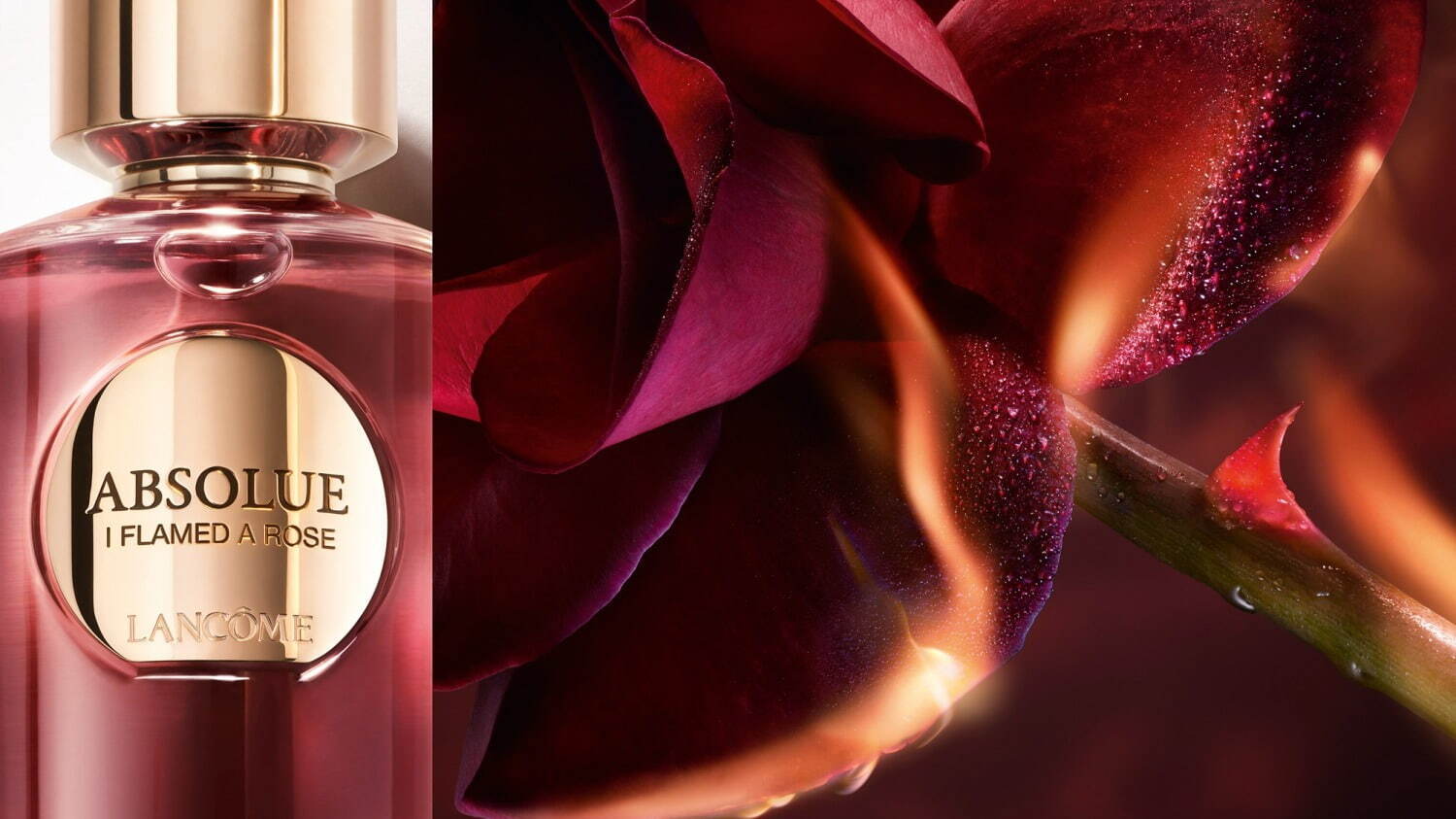 ランコム最高峰フレグランス「アプソリュ レ パルファン」24年冬誕生
