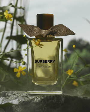 バーバリー シグネチャー」25年秋フレグランス、砂漠の薔薇＆朝の光