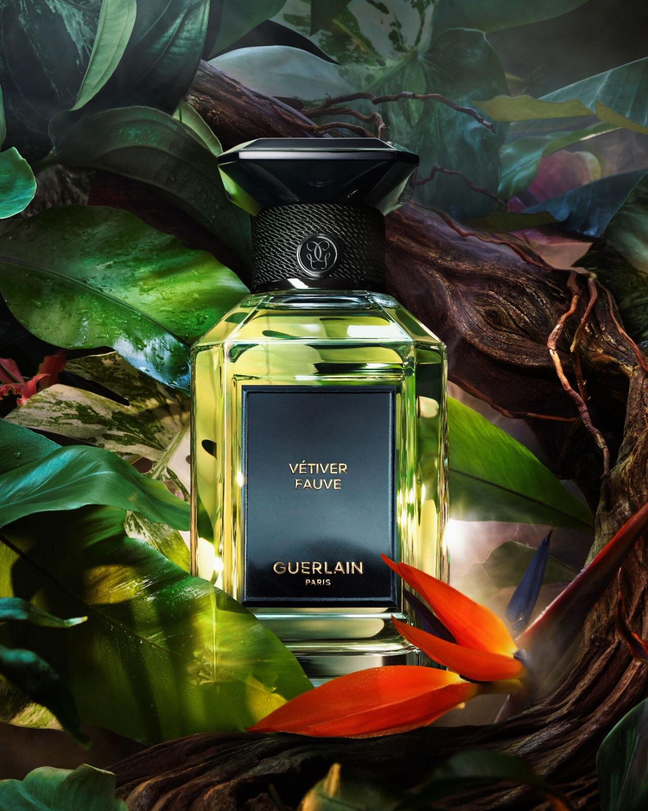 ゲラン至高の香水「ラール エ ラ マティエール」25年秋、“夜明けの