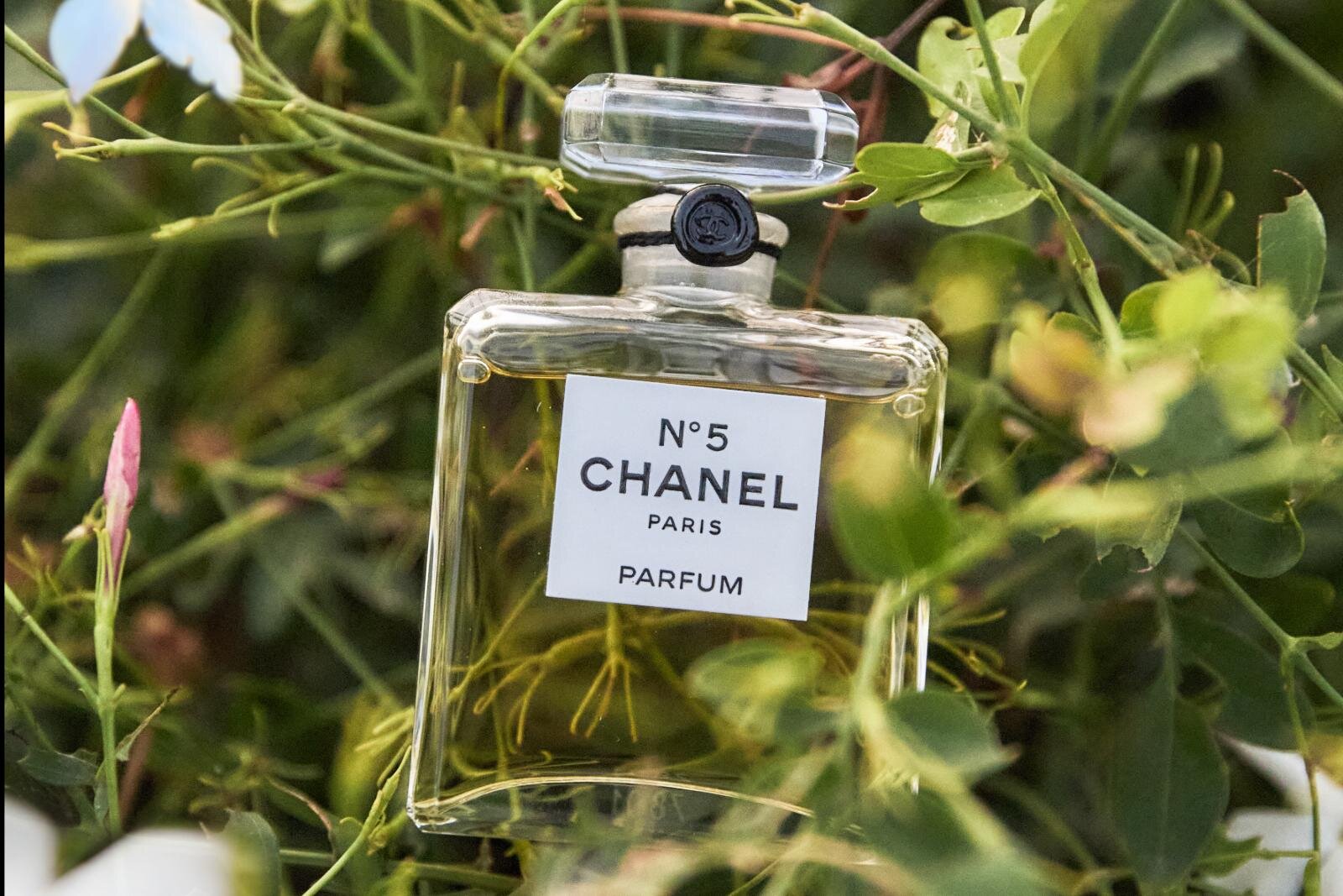 ブルガリ、ジャスミンの人気香水「モン ジャスミンノワール オー