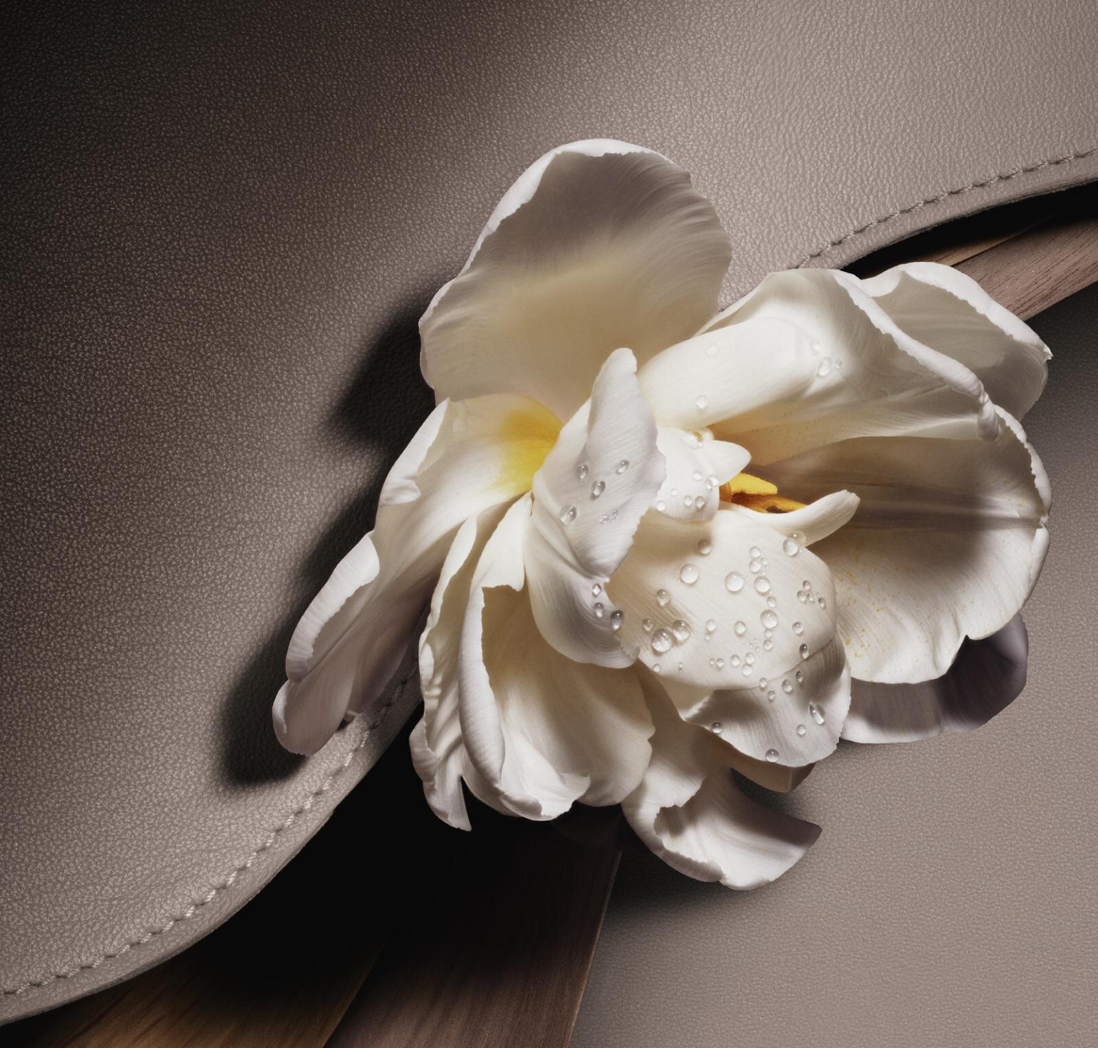 ディオール2026年春“至高のフレグランス”に「サドル」バッグ着想の新作