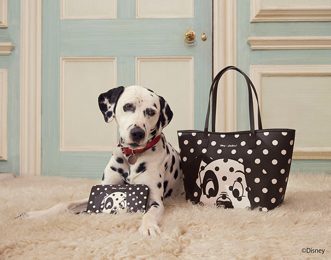 キャス キッドソン×ディズニー「101匹わんちゃん」、水玉模様から子犬