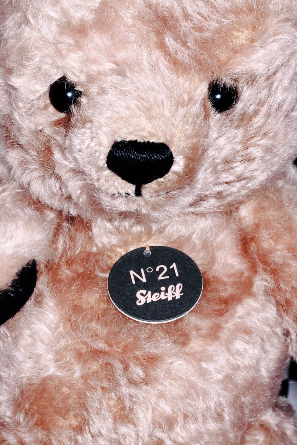 N21初のスキンケア＆シュタイフと初コラボ“ヌードカラー”テディベア