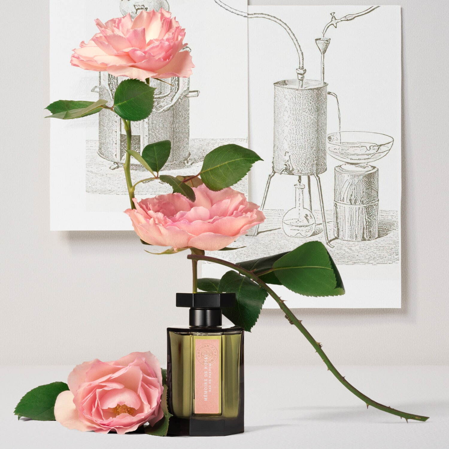 ラルチザン パフューム「メモワール ド ローズ」花の女王に捧ぐ“かつて