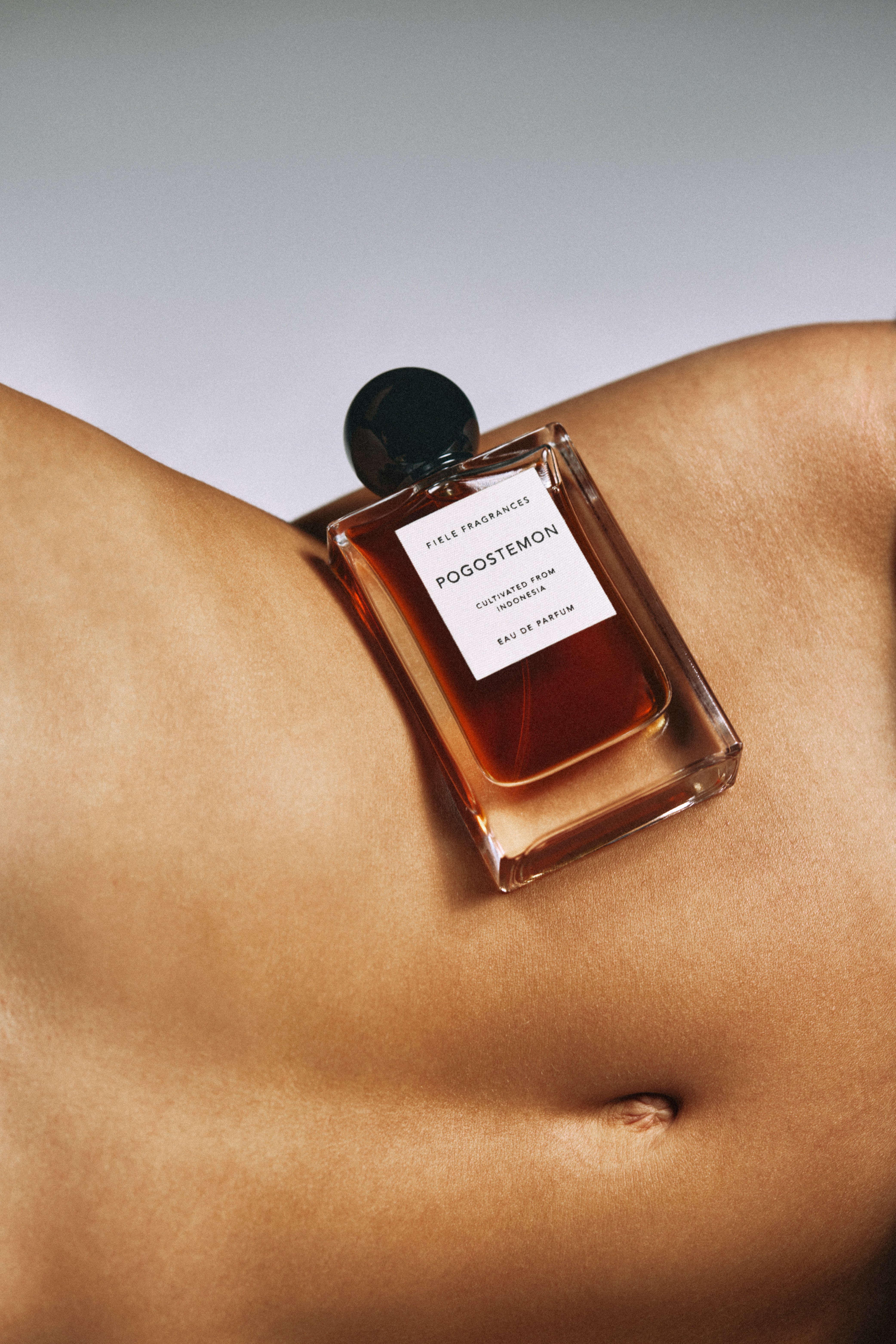 POGOSTEMON – Fiele Fragrances