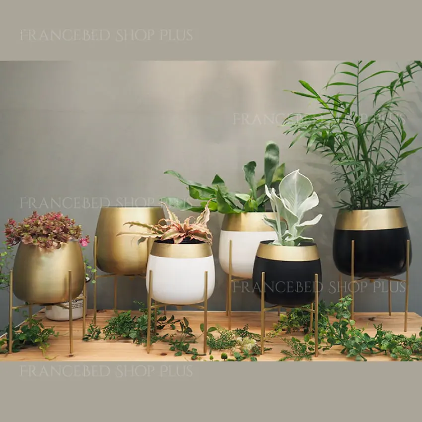 オリノ プランター ゴールド＆ホワイト＆スタンドセット｜【公式通販