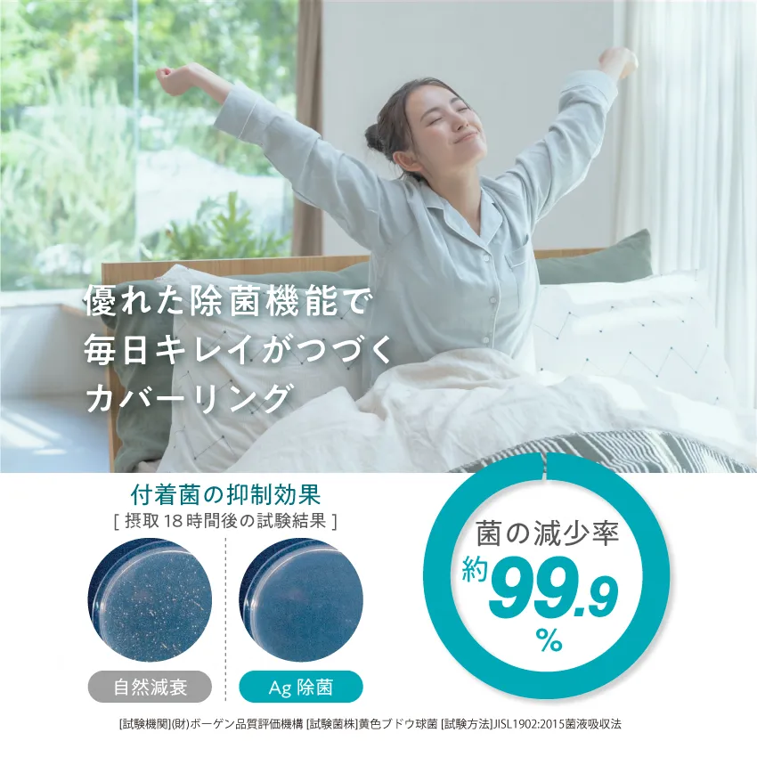 フランスベッド LT 掛けふとんカバー(シングル グリーン): 通常商品