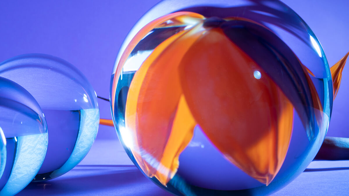 KOBEとんぼ玉ミュージアム「ART MARBLE 2026」 – FrantzVoice