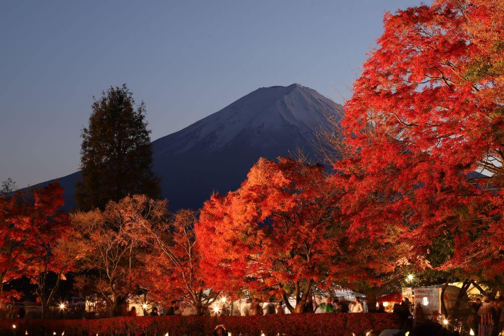 河口湖もみじ回廊で秋を満喫！紅葉の見頃やアクセス方法を紹介！｜観光