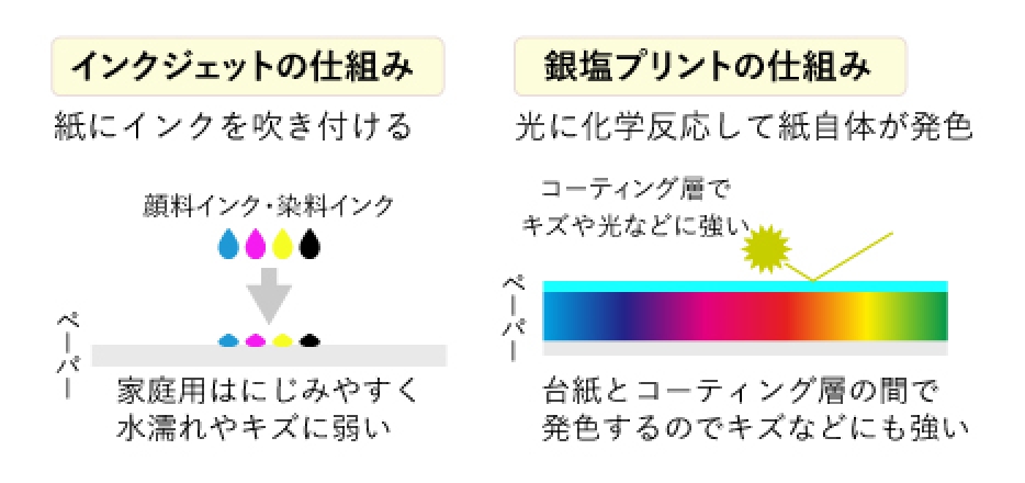 銀塩デジタルプリント │ 滋賀のプロカメラマンによる成人式・七五三の