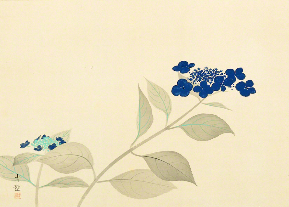 八仙花 | 小林古径 | 収蔵品詳細 | 作品を知る | 東京富士美術館