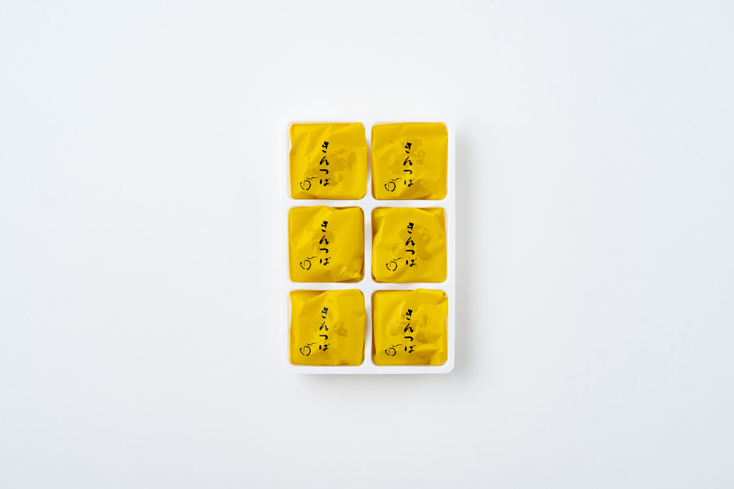 加賀乃彩 - 株式会社フジセイカ