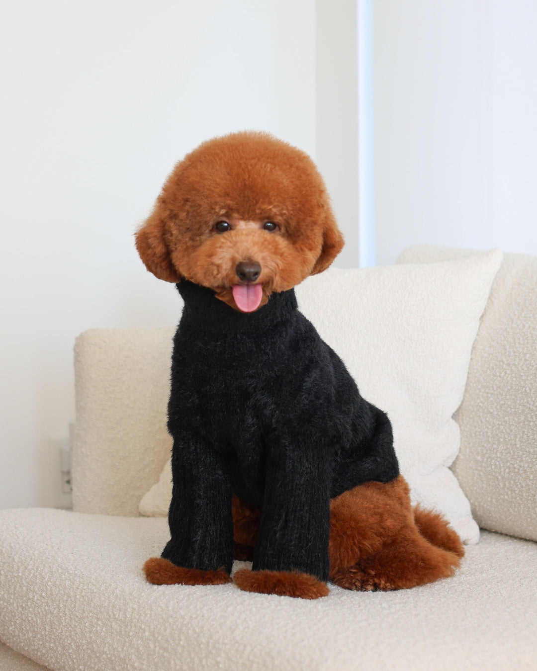Black Eyelash Knit | Adorable, Affordable Dog Sweater – FURB