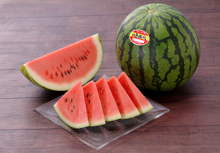 JAみなみ魚沼 八色西瓜(やいろスイカ) | G-Callショッピング