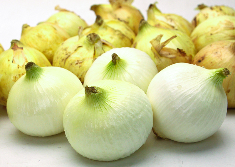 熊本産たまねぎ サラたまちゃん 水俣・芦北地方 | G-Callショッピング