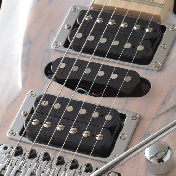 G-Life Guitars / DSG Life-Spalted / Snow White