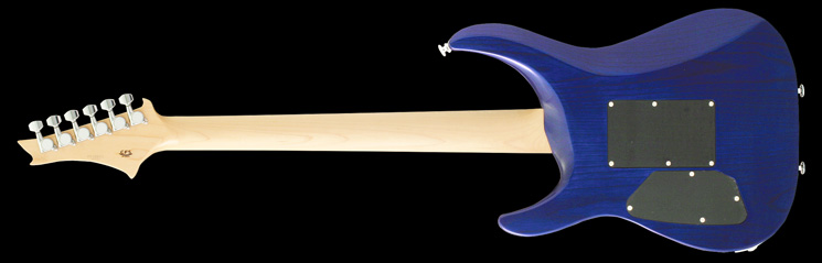 G-Life Guitars / DSG Standard Ash