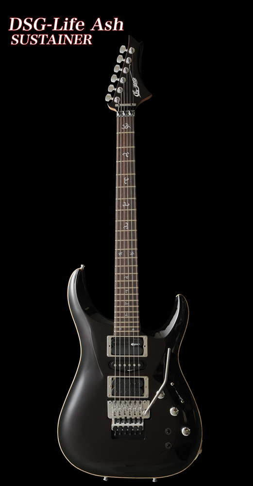 dsglife-ash-sustainer1000.jpg