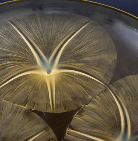 1921年「朝顔」《ギャルリーオルフェ》