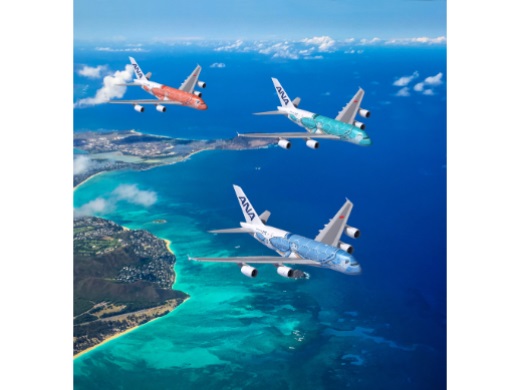ANA FLYING HONU（フライングホヌ）で行くハワイ （東京発）│近畿日本