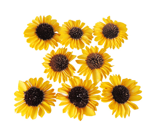 大地農園・ソーラーひまわり・イエロー(32770-500) | プリザーブド