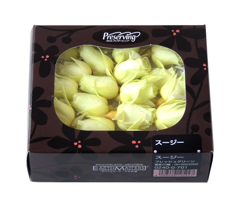 アウトレット・大地農園・ローズ20輪【スージー】 | プリザーブド