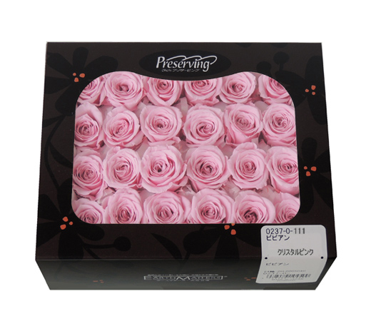 大地農園・ビビアン・クリスタルピンク24輪・アウトレット