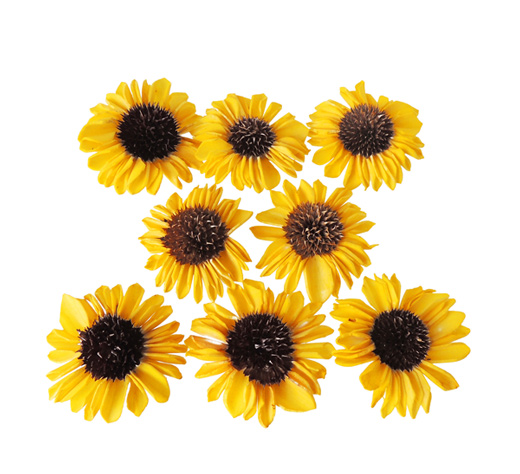 大地農園・ソーラーひまわり・イエロー(32770-500)・アウトレット